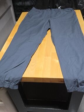 Patagonia Men's Dark Blue Jogger Sweatpants